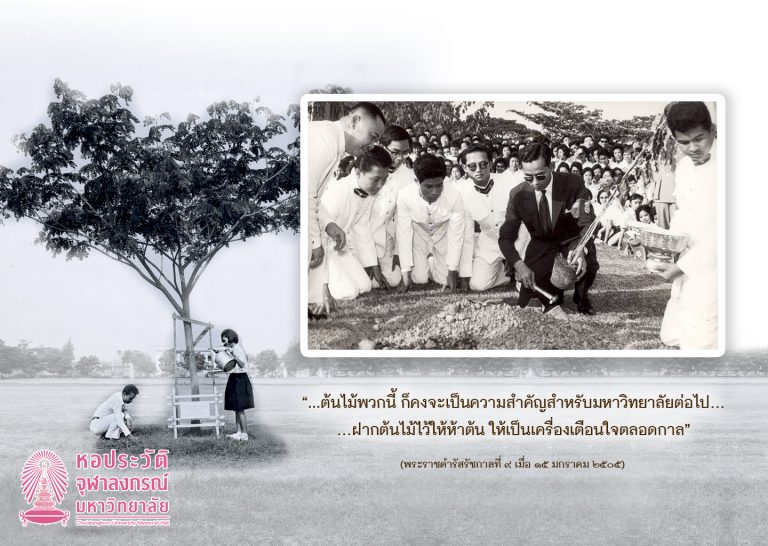 60 ปีทรงปลูกจามจุรีที่จุฬาฯ 15 มกราคม 2505 – 2565