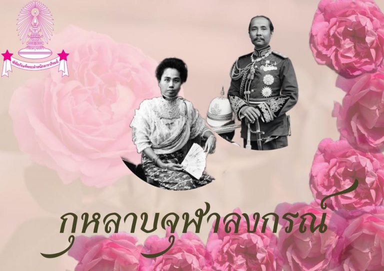“กุหลาบจุฬาลงกรณ์”